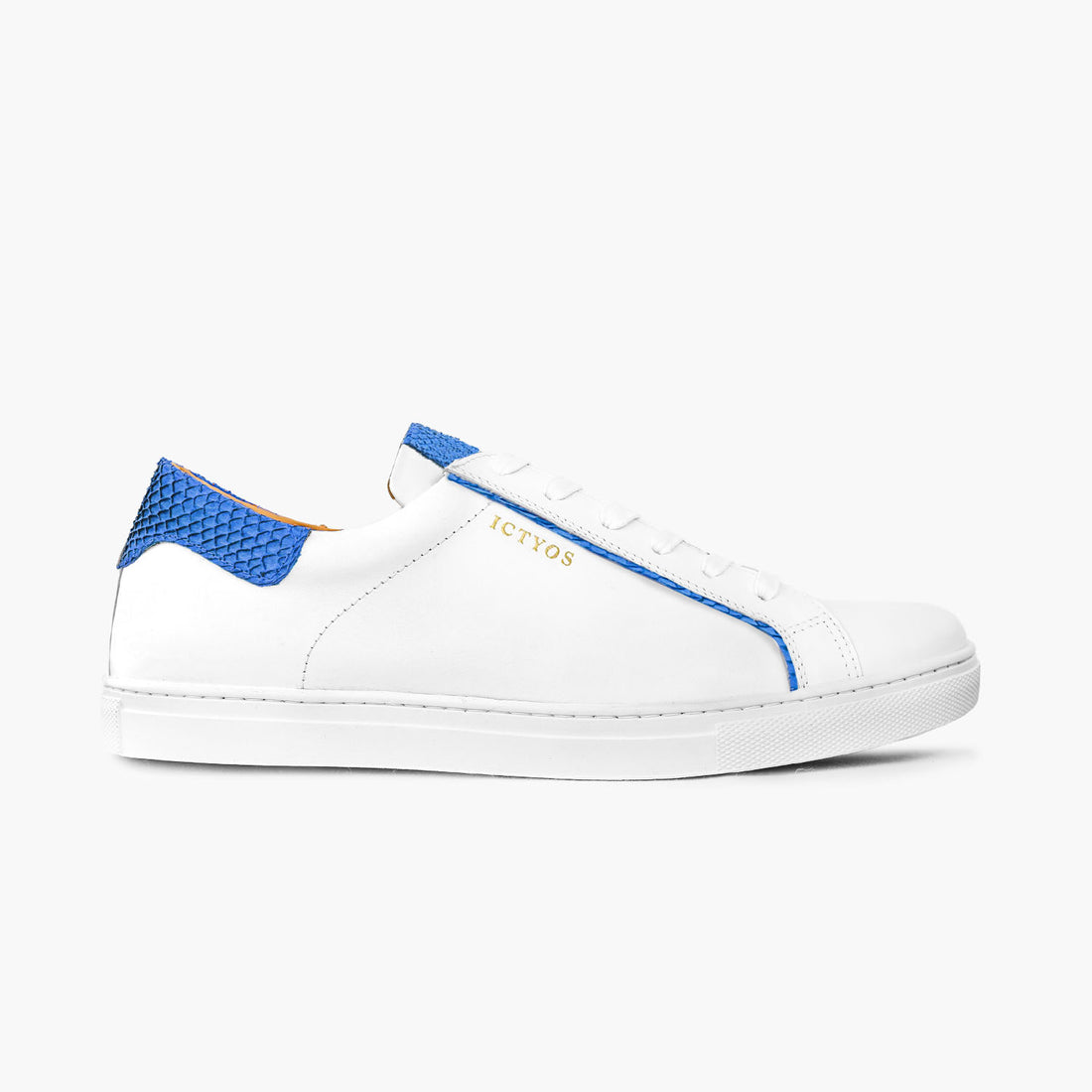 Ictyos ● Squama Bleu 37