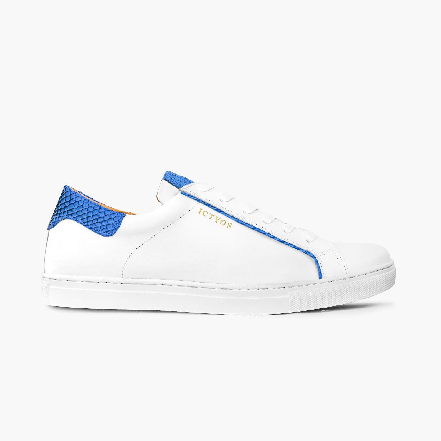 Ictyos ● Squama Bleu 37