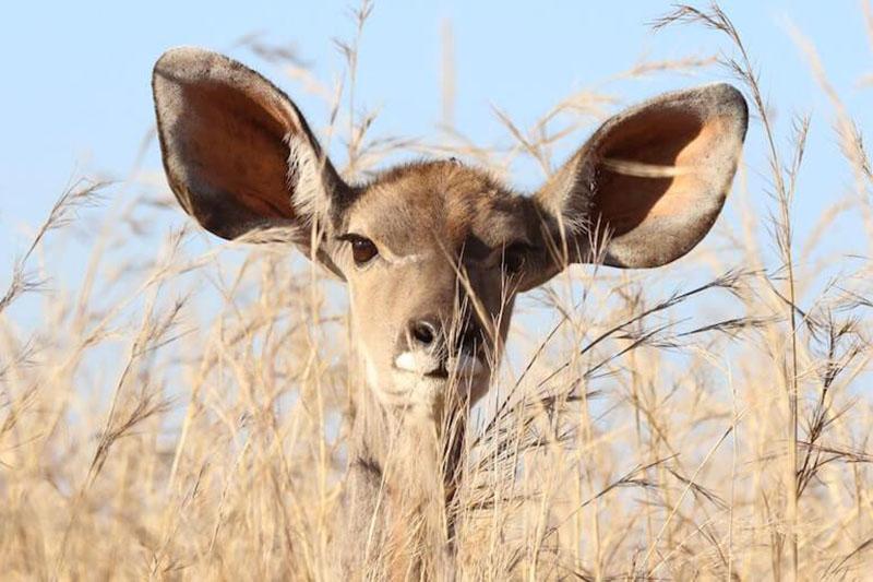 6 manières d’élargir ses chaussures