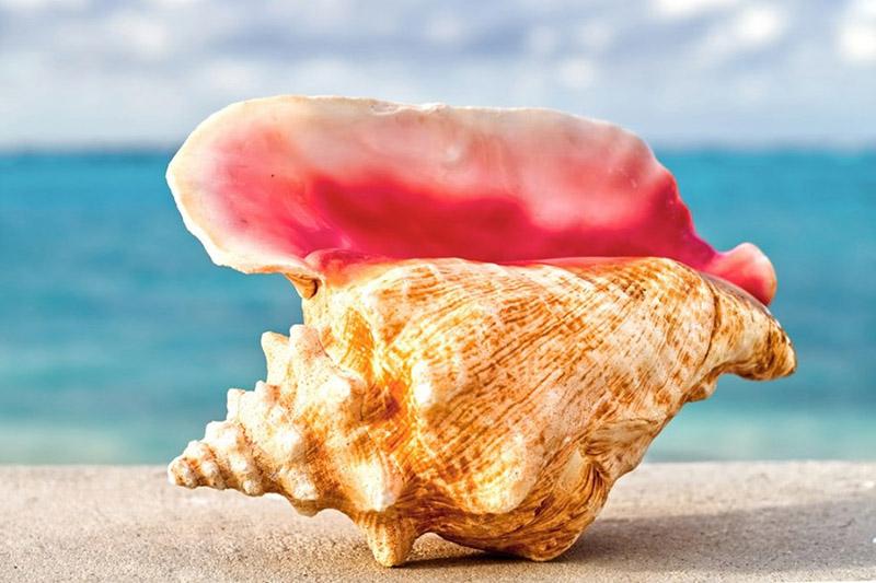 Hallux Valgus comment ça se passe après une opération