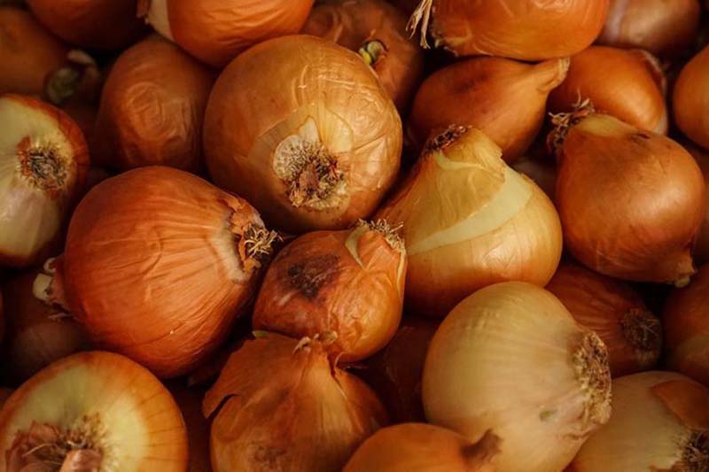 Hallux Valgus : 7 façons de vous soulager sans opération