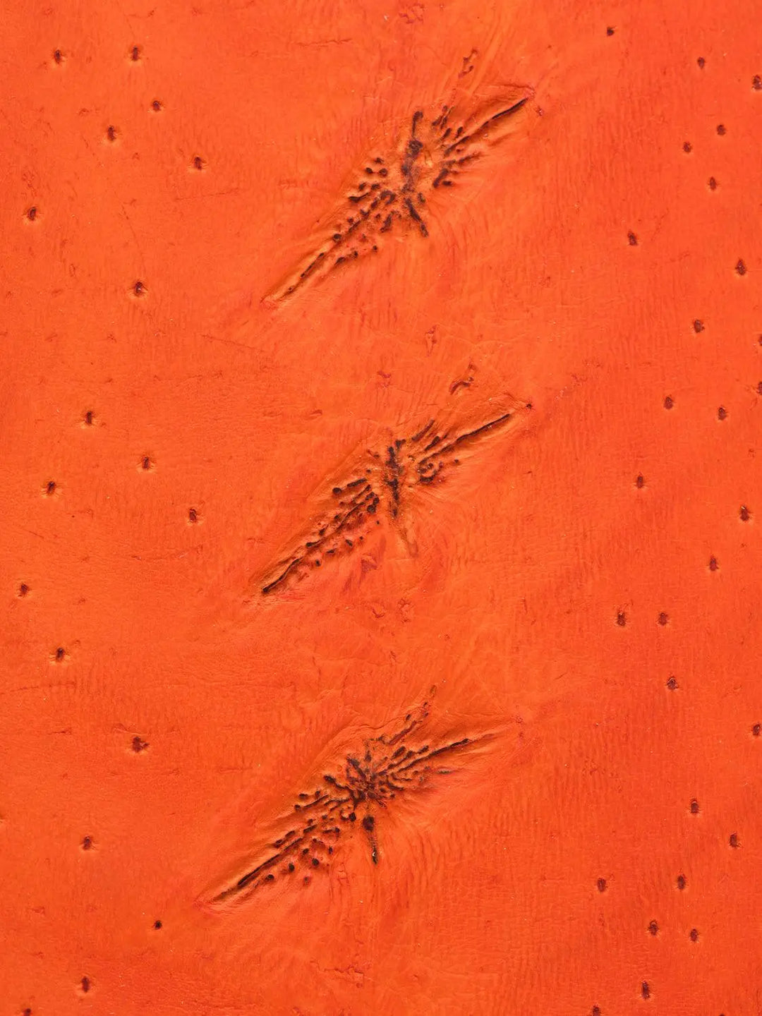 Tennis Karl&Max × Sturia – Édition limitée - SRC